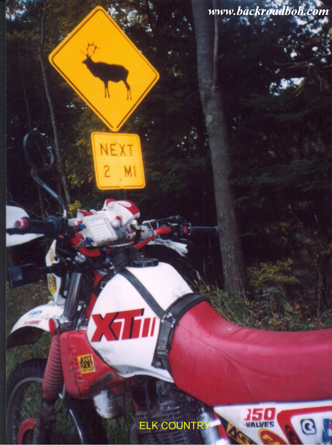 Elk Country